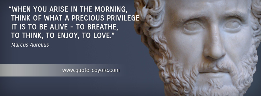 Marcus Aurelius - When you arise in the morning, think of what a precious privilege it is to be alive - to breathe, to think, to enjoy, to love.