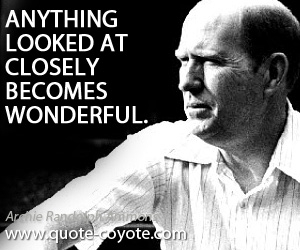 Wonderful quotes - Anything looked at closely becomes wonderful.