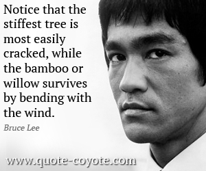 Survive quotes - Notice that the stiffest tree is most easily cracked, while the bamboo or willow survives by bending with the wind.