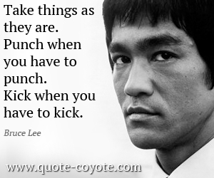  quotes - Take things as they are. Punch when you have to punch. Kick when you have to kick.