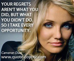  quotes - Your regrets aren't what you did, but what you didn't do. So I take every opportunity.