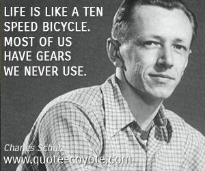 Use quotes - Life is like a ten speed bicycle. Most of us have gears we never use.