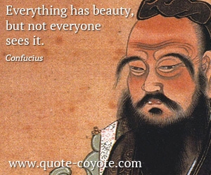 Confucius - Everything has beauty, but not everyone sees it.