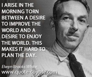  quotes - I arise in the morning torn between a desire to improve the world and a desire to enjoy the world. This makes it hard to plan the day.