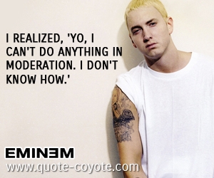  quotes - I realized, 'Yo, I can't do anything in moderation. I don't know how.' 