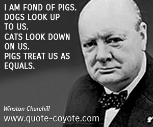 Funny quotes - I am fond of pigs. Dogs look up to us. Cats look down on us. Pigs treat us as equals.
