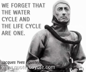 Water quotes - We forget that the water cycle and the life cycle are one.