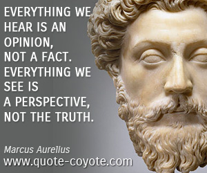 Marcus Aurelius - Everything we hear is an opinion, not a fact. Everything we see is a perspective, not the truth.