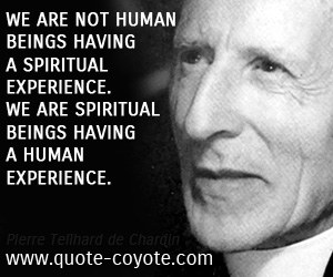  quotes - We are not human beings having a spiritual experience. We are spiritual beings having a human experience.