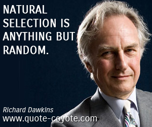 Random quotes - Natural selection is anything but random.