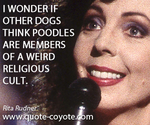 Rita Rudner - I wonder if other dogs think poodles are members of a weird religious cult.