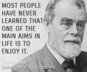 Aim quotes - Most people have never learned that one of the main aims in life is to enjoy it.