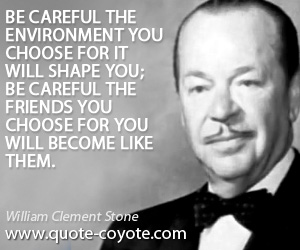 Life quotes - Be careful the environment you choose for it will shape you; be careful the friends you choose for you will become like them.