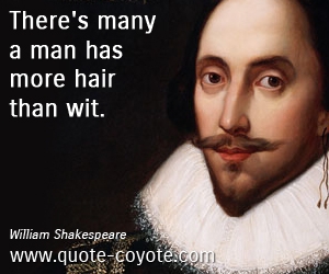  quotes - There's many a man has more hair than wit. 
