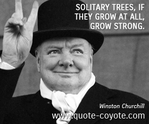 Tree quotes - Solitary trees, if they grow at all, grow strong.