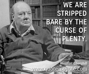  quotes - We are stripped bare by the curse of plenty.